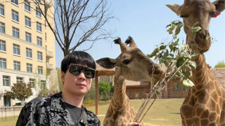 刚起床就遇到两只可爱的小家伙！