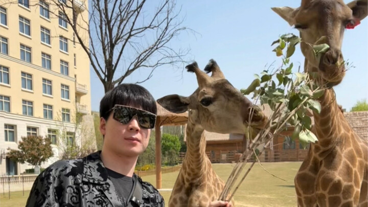 刚起床就遇到两只可爱的小家伙！