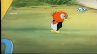 Tom and jerry in bangla ep 30