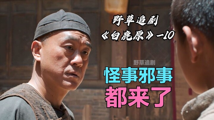 【Tanaman Liar】 Seluruh desa yang menanam * menjadi kaya raya, namun tak disangka justru terjerum