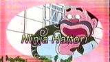 Iklan Ninja Hatori tahun 1999