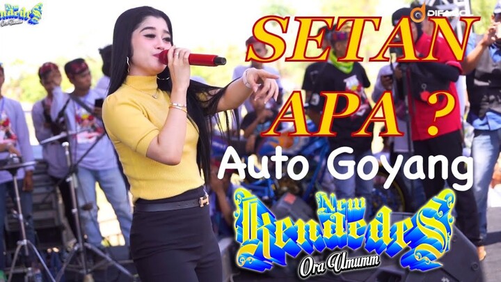 setan apa (Salah apa aku) vivi artika new kendedes auto goyang tiktok