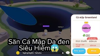 PLAY TOGETHER Thử Thách Săn Cá Mập GREENLAND | Cá Mập Da Đen | HG Gamer