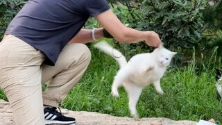 Cat De Academy ปะทะ Lion Cat ซีซั่น 2: The Rise of the Different Eyes - ปล่อยให้เชือกบินไปสักพัก