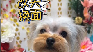 ฉันทำให้มิมิเปลี่ยนลุค แต่กลับกลายเป็นว่าเธอกลับดูหัวล้านกว่าเดิม