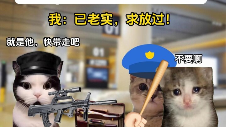 当我在过海关时不小心笑场