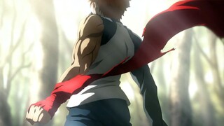 Fate Series AMV