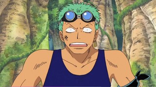 [AMV]Phương tiện di chuyển của Roronoa Zoro trong <Đảo Hải Tặc>