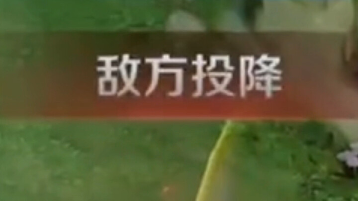 我选典韦=敌方投降