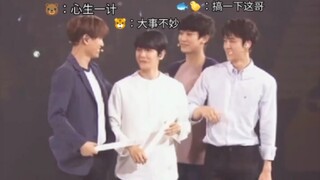 بيان باو شيان: طولي يحد من مزاجي