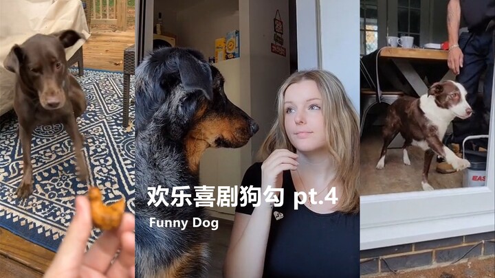 Joyful Comedy Doggy Pt. 4