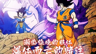 最后的绝招！四倍界王拳赴死的一击！！