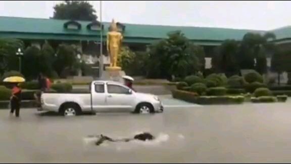 𝚏2𝚏 𝚌𝚕𝚊𝚜𝚜𝚎𝚜 𝚗𝚊 𝚋𝚒𝚗𝚊𝚑𝚊 𝚋𝚎 𝚕𝚒𝚔𝚎? 😹