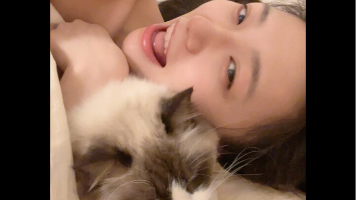 Families, my blanket has grown a cat!