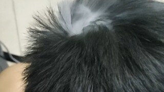 室友第一次打派，大脑CPU烧了（物理