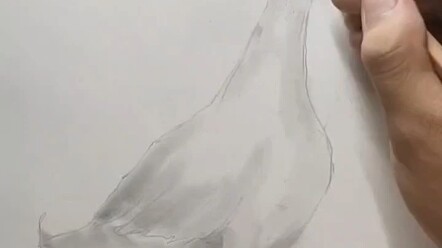 Đây mới là dáng vẻ xứng đáng của vịt, mẫu cổ vịt mới đã lên kệ!