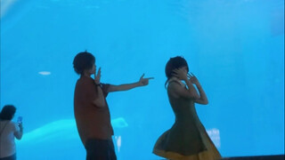 อิงหลางมาที่พิพิธภัณฑ์สัตว์น้ำอีกแล้ว!