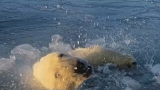 241014 SEVENTEEN อีซอกมิน DK บูซึงกวาน SEE THE WORLD สถานีศูนย์