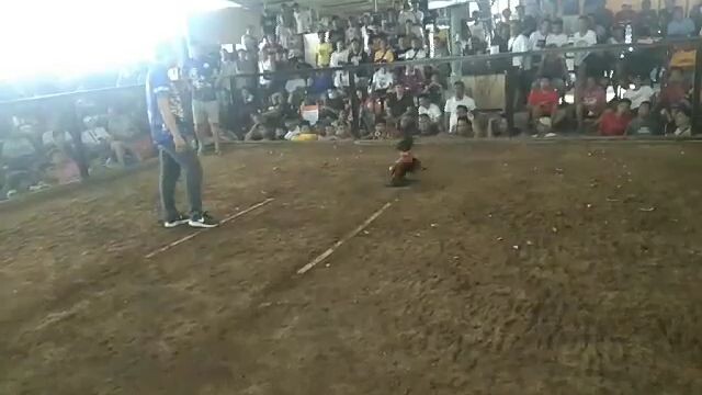 1s fyt 2hits 35k kada champ.. march 19