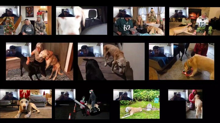 Mourning another Loss at Christmas Hagyrants Archives Reaction