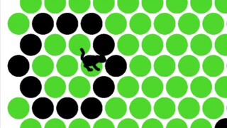 Cat Lover TV อาหารเสริมแมวอย่างเป็นทางการ