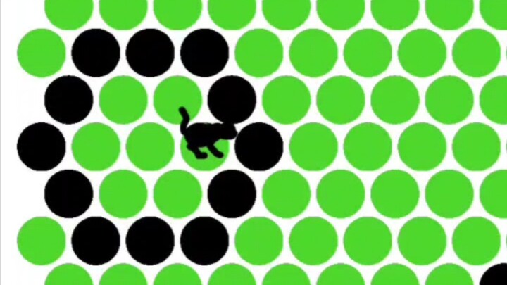 Cat Lover TV อาหารเสริมแมวอย่างเป็นทางการ