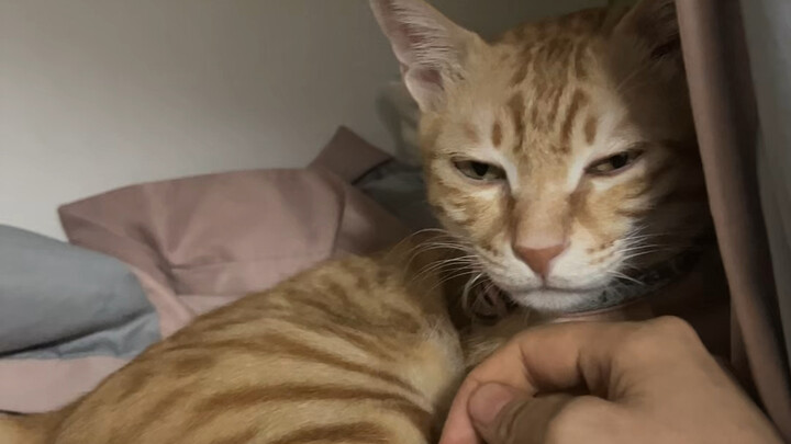 呜呜呜好凶呀，我再也不敢这样了