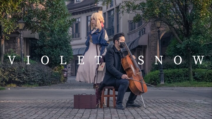 [Cello] Liên kết giấc mơ! Sau khi chơi "Violet Snow", tôi nhận được một lá thư từ Violet~
