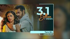 Tere Bin