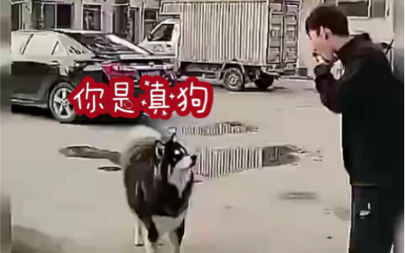 Dogzi: I’m gonna take the bus, damn it.