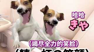 【Nội dung gốc】Câu chuyện chơi Apex cùng bạn gái (Phần bà ngoại) | Meme mèo