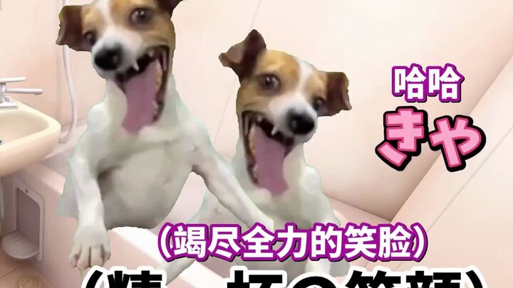 [Subtitled] A Story of a Female-Led Apex Gaming Session (Grandma Chapter) | Cat Meme