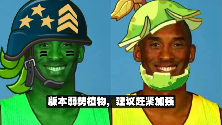 นี่คือพืชที่อ่อนแอที่สุดสองชนิดในเวอร์ชันปัจจุบัน คุณกล้าสบตาพวกมันสิบวินาทีไหม?