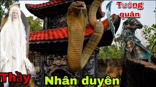 Kinh Hoàng Phát Hiện Rắn Hổ Mang Chúa Vàng Khổng Lồ Nằm Dài Trên Năng Mộ Tướng Quân Không Đầu