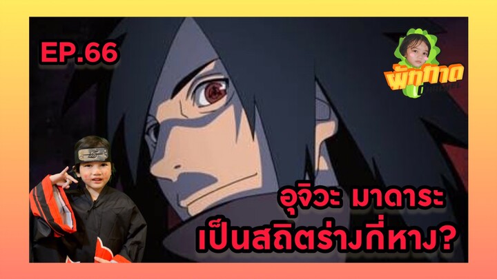 EP.66 อุจิวะ มาดาระ เป็นสถิตร่างกี่หาง?