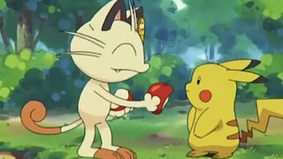 Meowth thực sự rất muốn trở thành bạn đồng hành của Pikachu phải không?