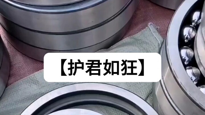 【Protecting My Lord Like Crazy 2】