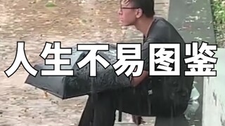 人生不易图鉴