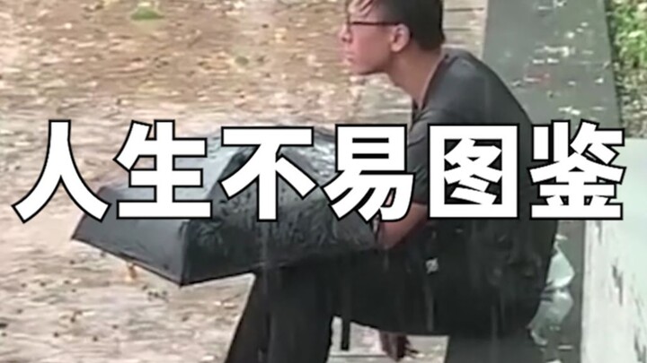 人生不易图鉴