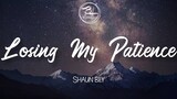 Losing My Patience - Shaun Bily