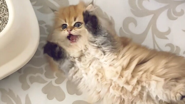 A baby who even wants a hug while pooping.