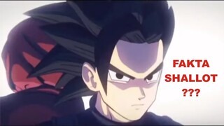 4 FAKTA SHALLOT - Karakter Baru di Dragon Ball Legend