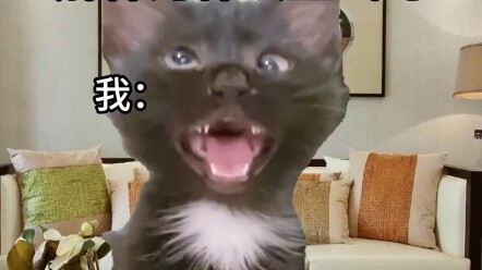 เมื่อแฟนสาวอธิบายให้ฉันฟังว่าทำไมเธอถึงโกรธ