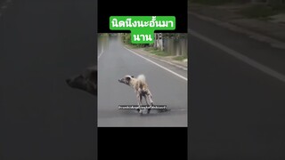 ^มีรวมคลิปเต็มชุดนี้กดดูลิงค์ด้านบนเลยจ้า^ ขอเวลานิดนึงนะอั้นมานาน
