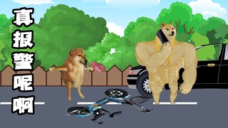 碰瓷水平如何？