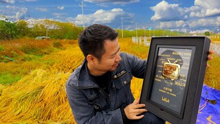 100w粉丝牌到手了，不装了，我家种田的