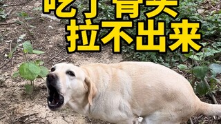 差点儿以为Popper要离开我了，这次真的吓到了