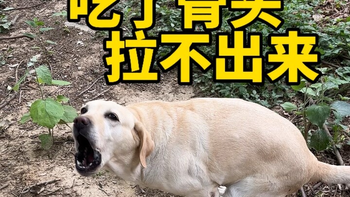 I almost thought Popper was going to leave me—this time, I was really scared.