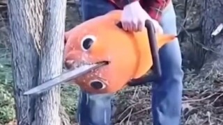 وظيفة جانبية لبوتشيتا