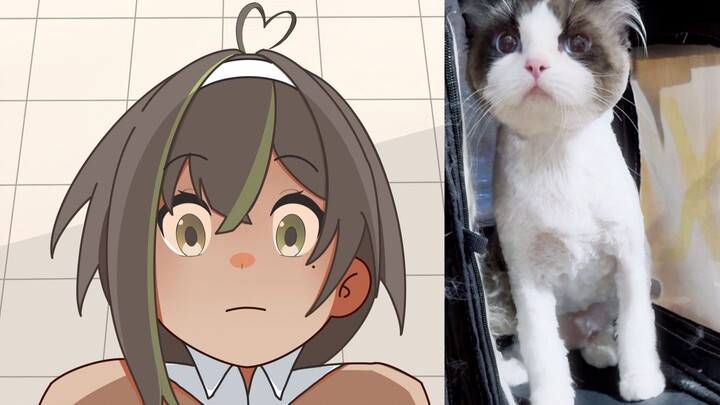 【Milky Green before Ming Dynasty】Shaved kitten